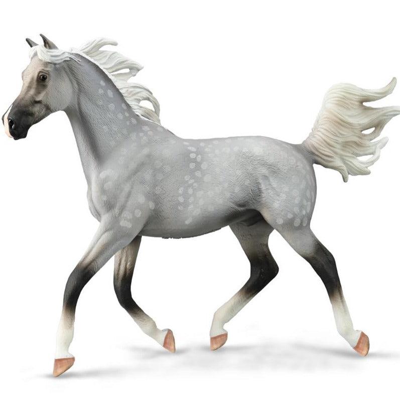 CollectA Half Arabian Stallion Dapple Grey - Deluxe 1:12 Scale – My Model  Horse