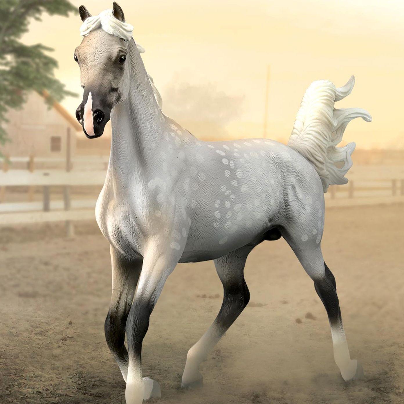 CollectA Figurines Deluxe 1:12 - My Model Horse