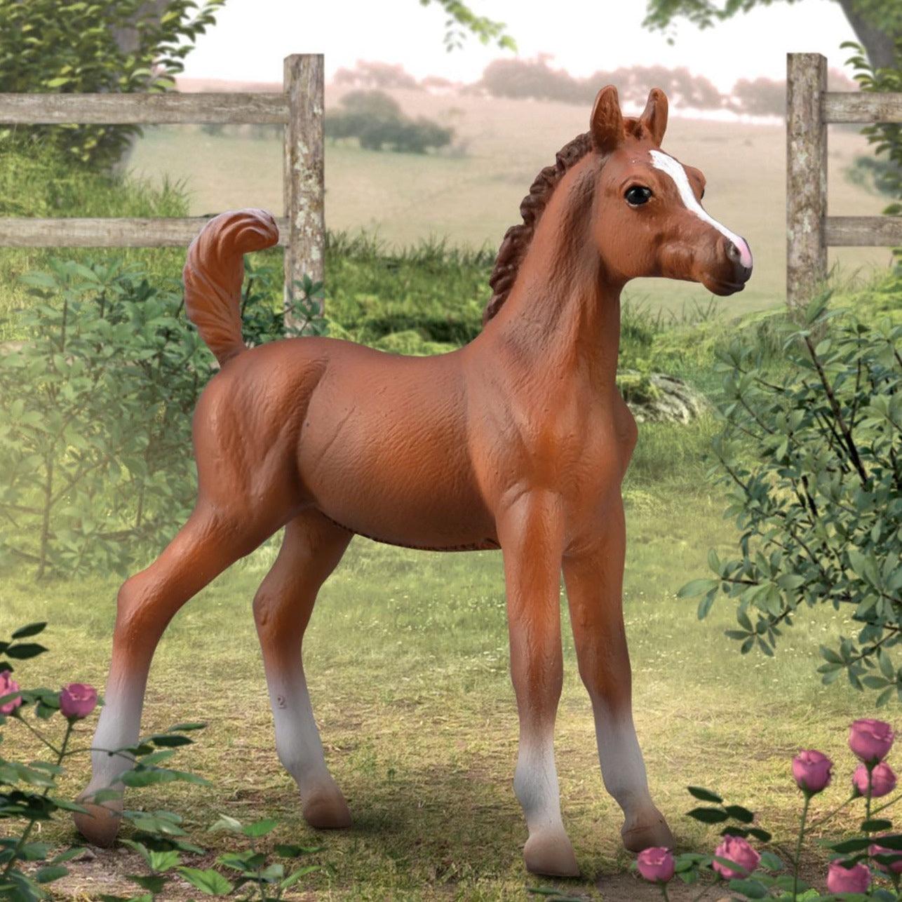Collecta Model Horse arabian Foal Figurine