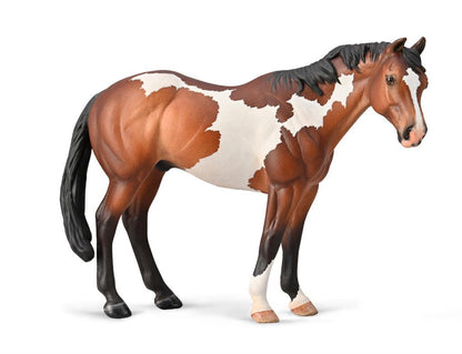 CollectA APPALOOSA PAINT STALLION model horse scale 1:18