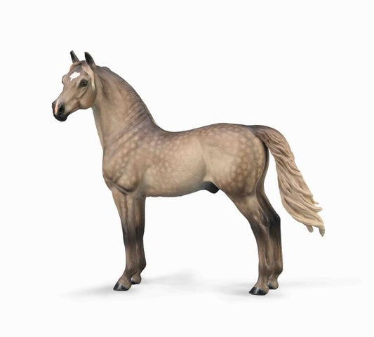 Morgan Stallion - Silver Grulla collecta Model Horse