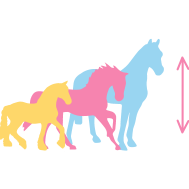 Scales_explained - My Model Horse