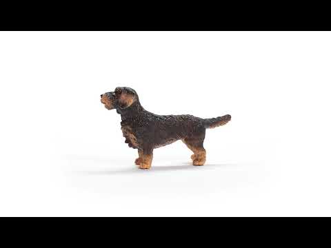 Schleich Wire-Haired Dachshund