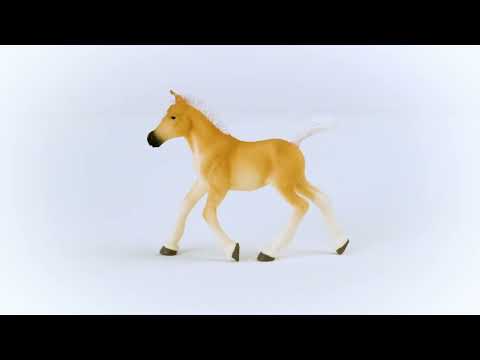 Schleich Haflinger Foal